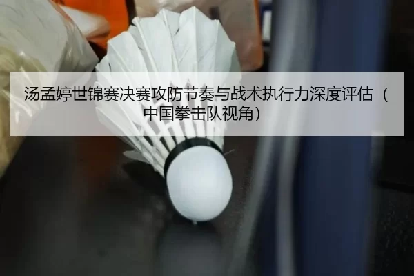 汤孟婷世锦赛决赛攻防节奏与战术执行力深度评估（中国拳击队视角）
